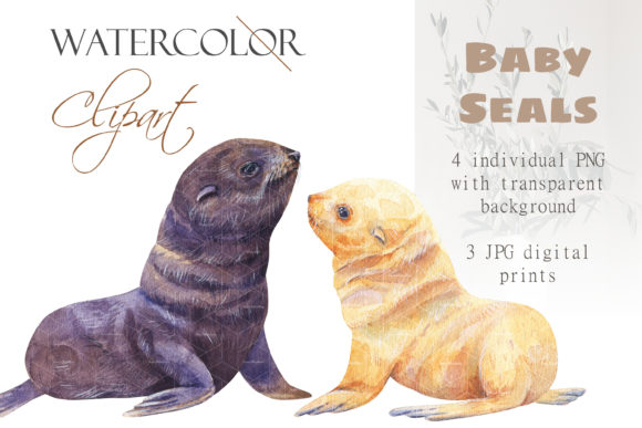 Download Watercolor Baby Seal Clipart White Seal - White Collection